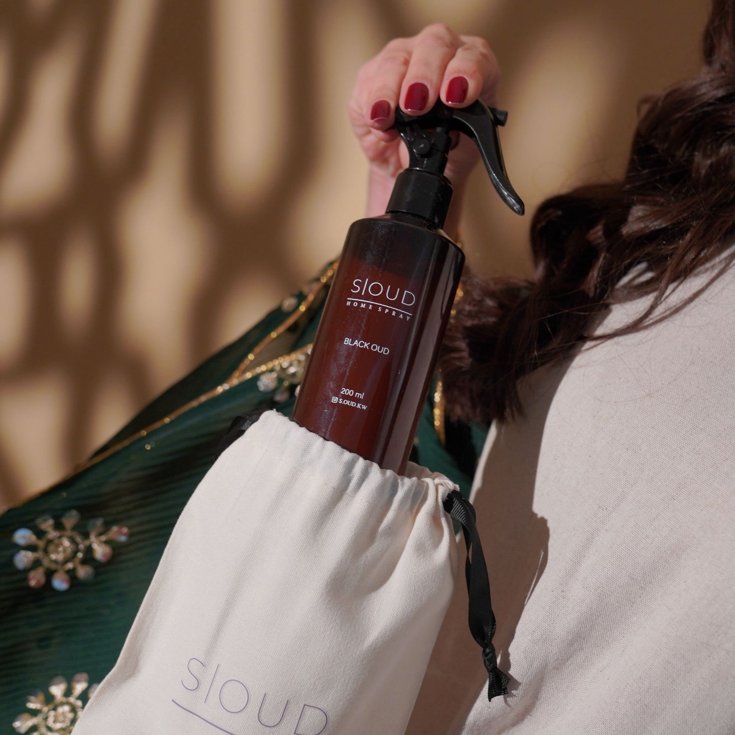 رذاذ المنزل